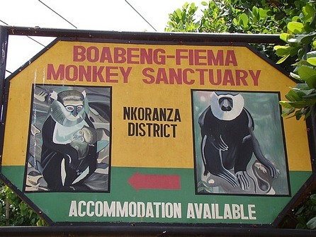 Boabeng Fiema Monkey, Ghana, Park, Sanctuary